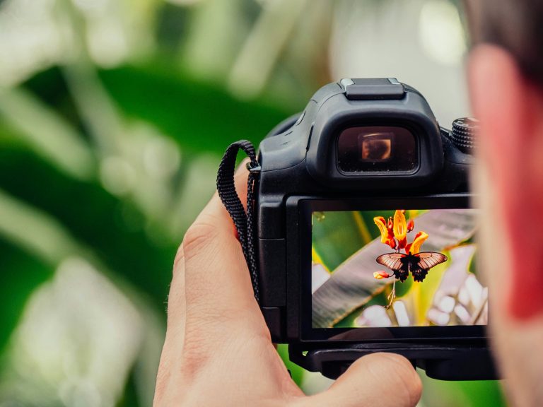 Travel Photography | Camera capturing photo of butterfly | Evolve Tours