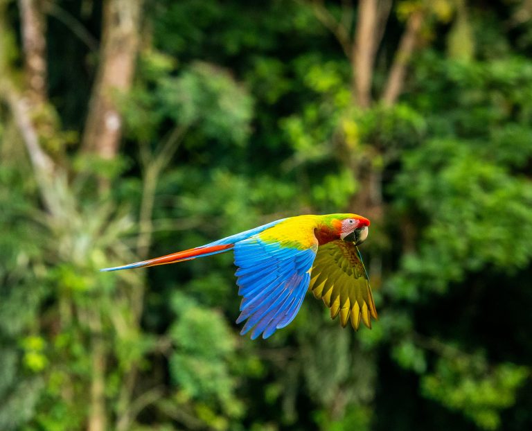 Costa Rica, | Student High School Trips National Parks Costa Rica | Evolve Tours