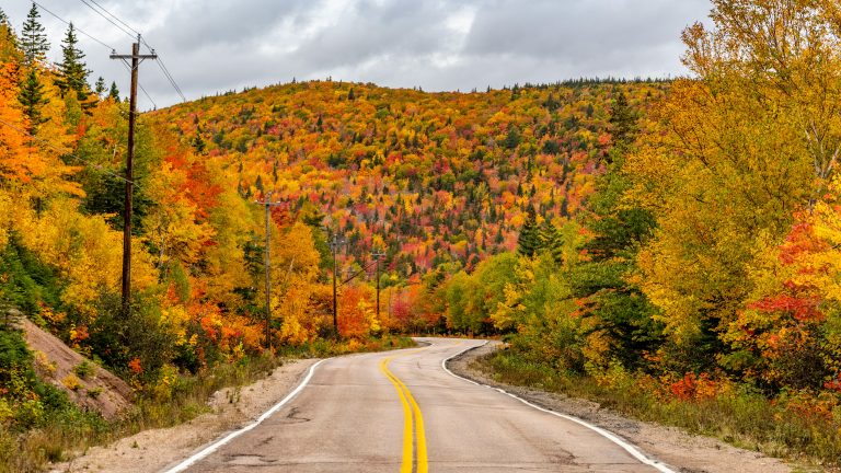 Cabot Trail in autumn foliage | Evolve Tours