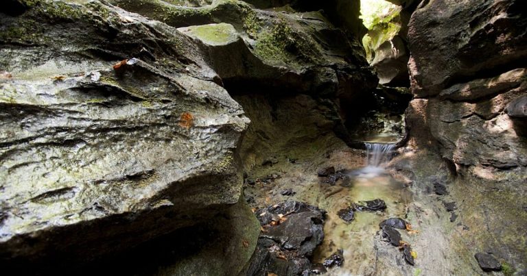 Spelunking Through Lusk Caves | Cave opening at Lusk Caves | Evolve Tours