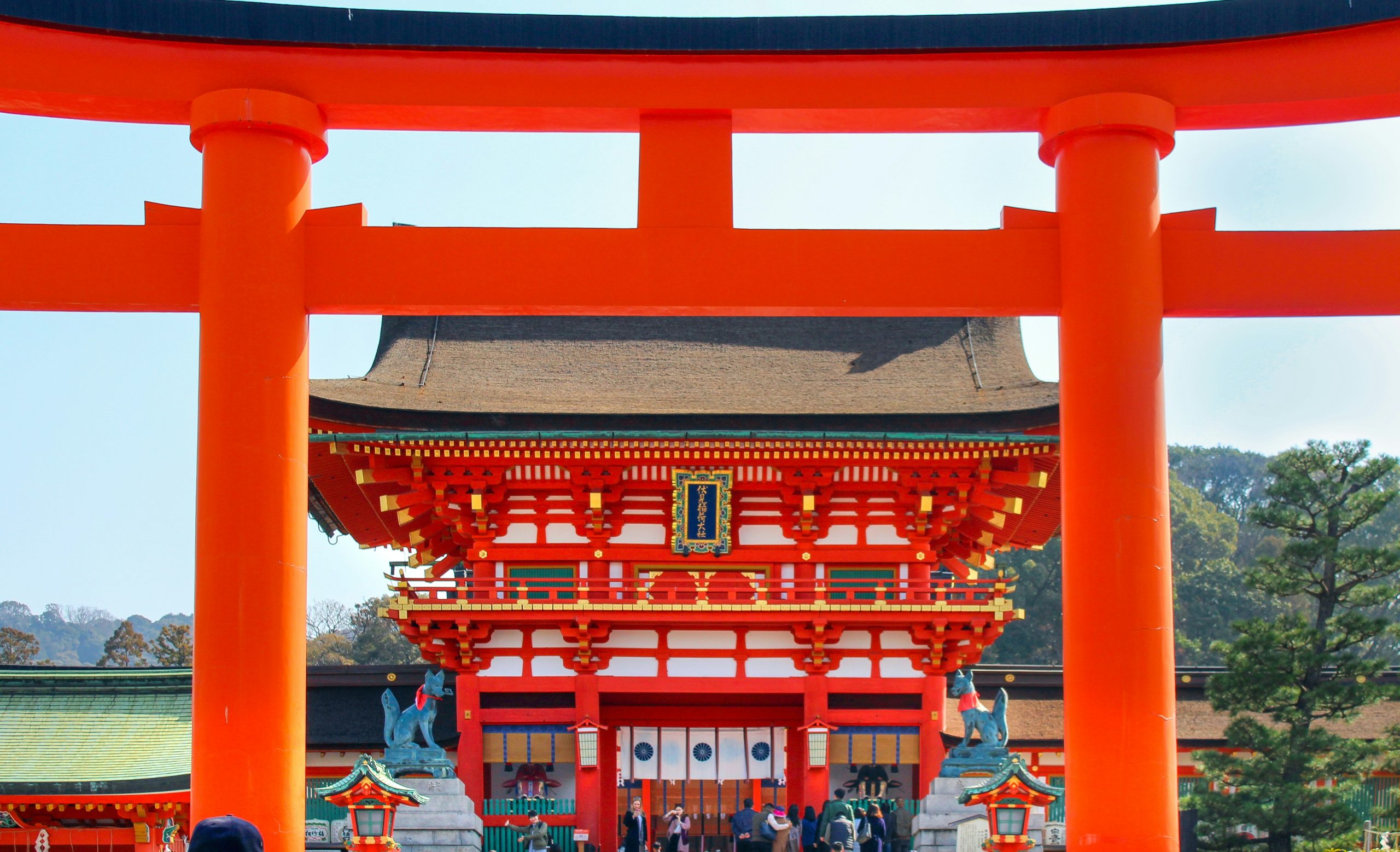 Japan Trips | Fushimi Inari Shrine torii gates | Evolve Tours