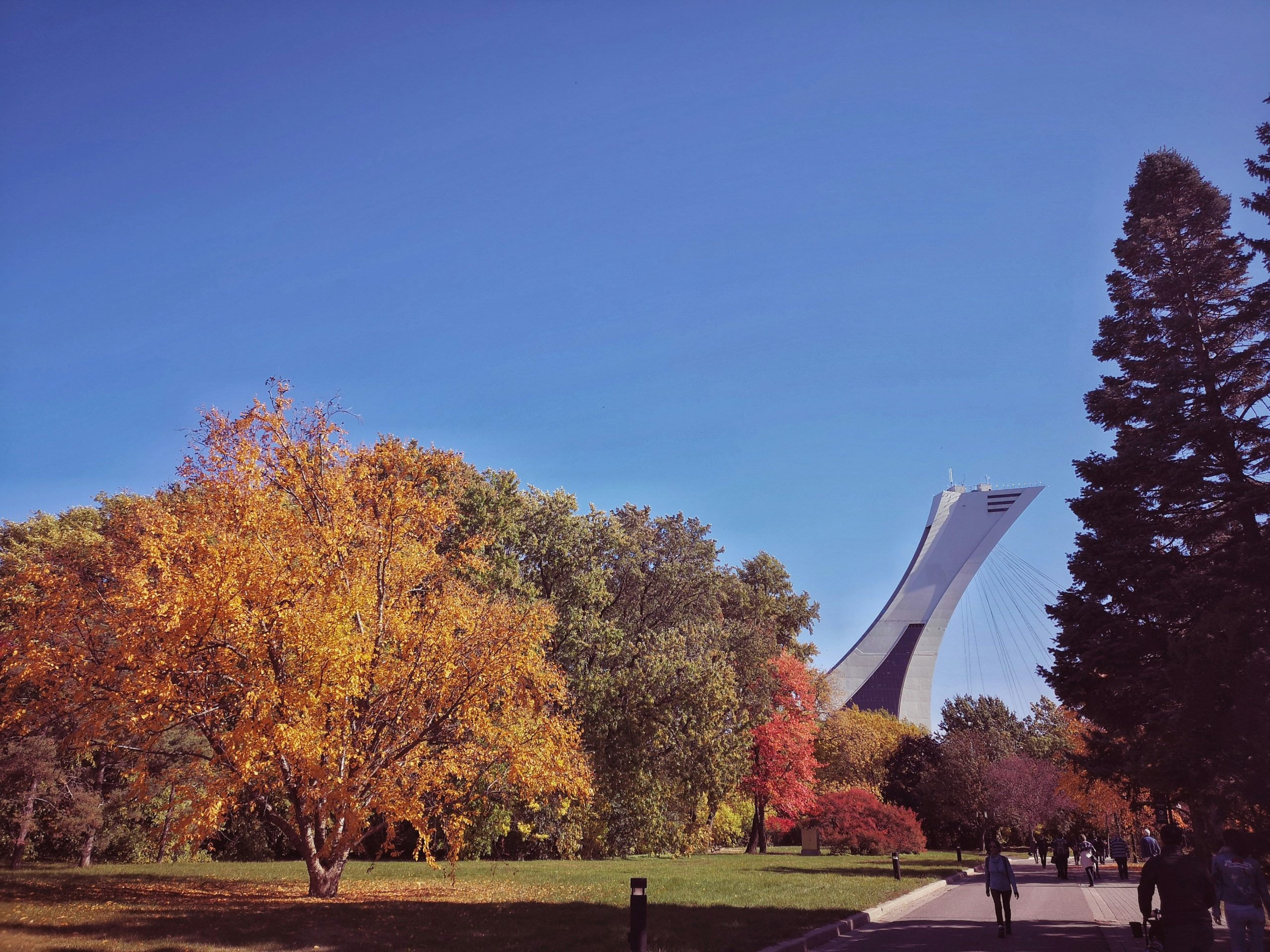 Biodome Montreal | Colorful fall trees in Montreal | Evolve Tours