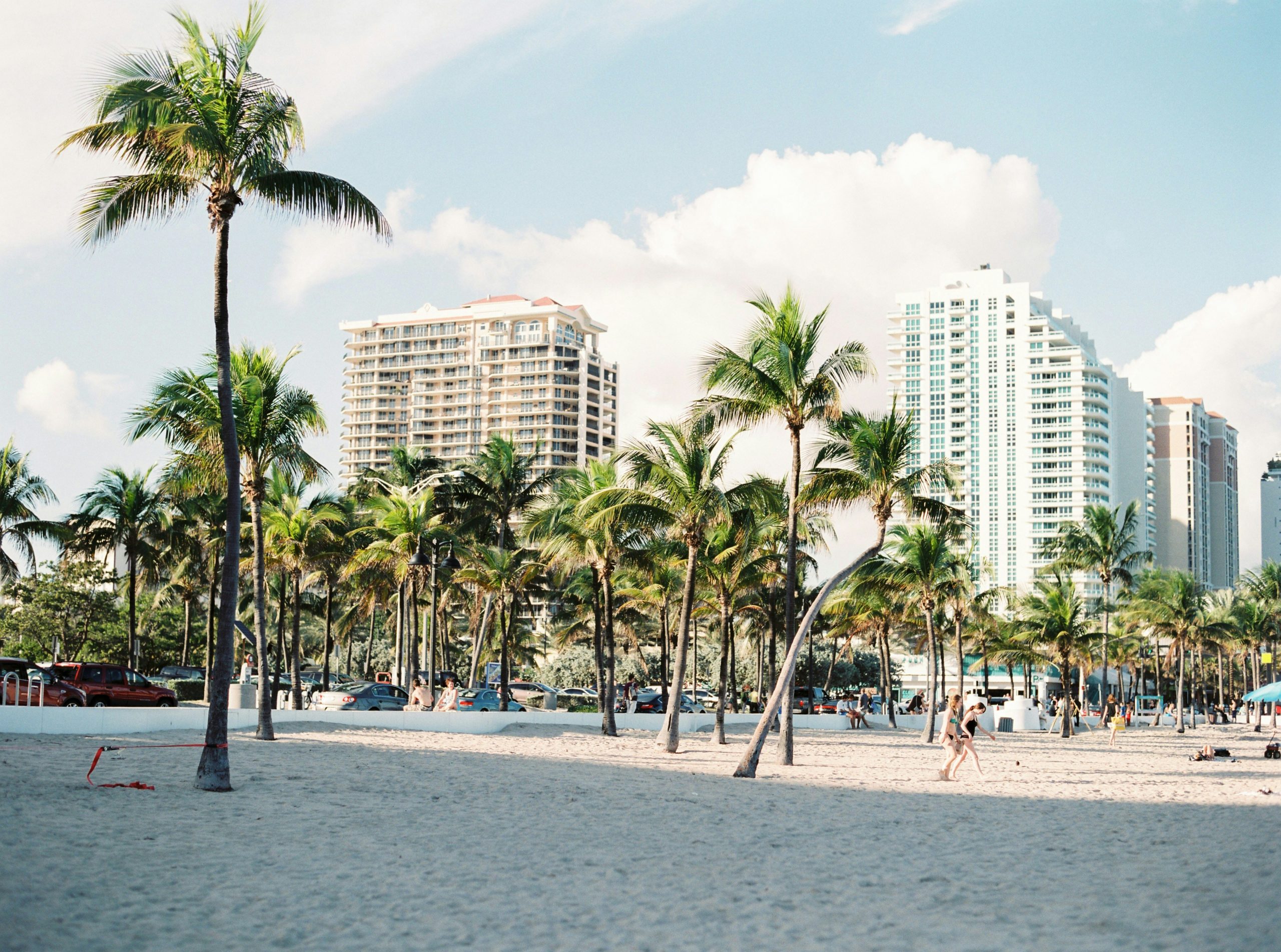 Bienvenidos a Miami | Palm trees on sandy Miami beach | Evolve Tours