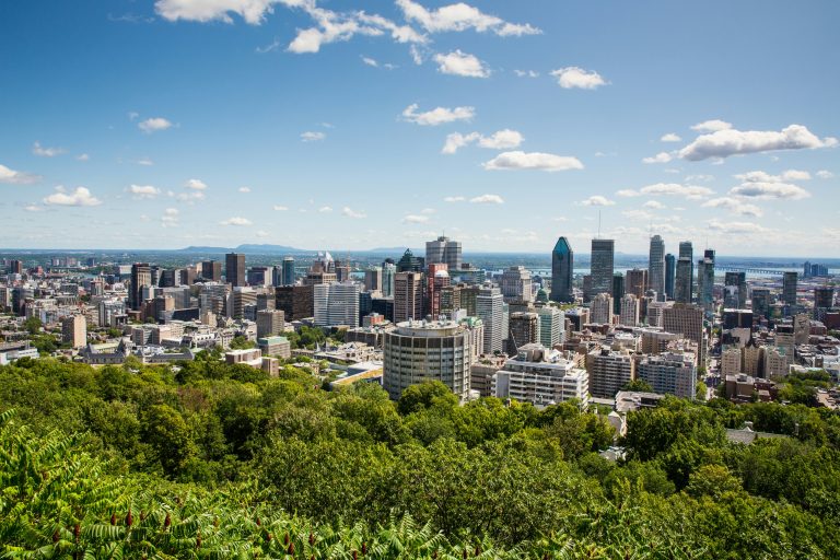 Exploring Montreal | View of Montreal from Mont Royal | Evolve Tours