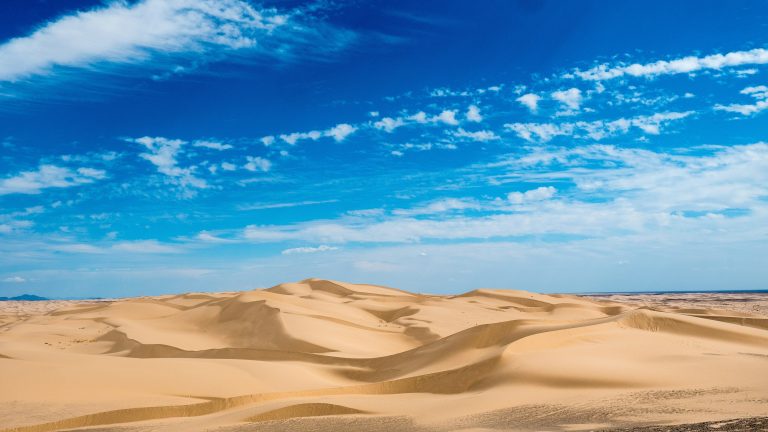 Algodones Sand Dunes | Sunny day at sand dunes | Evolve Tours
