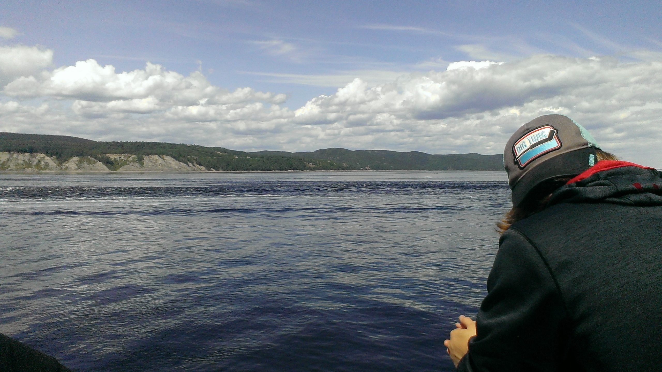 Cruising The St. Lawrence | Quebec Whale Watching | Evolvetours