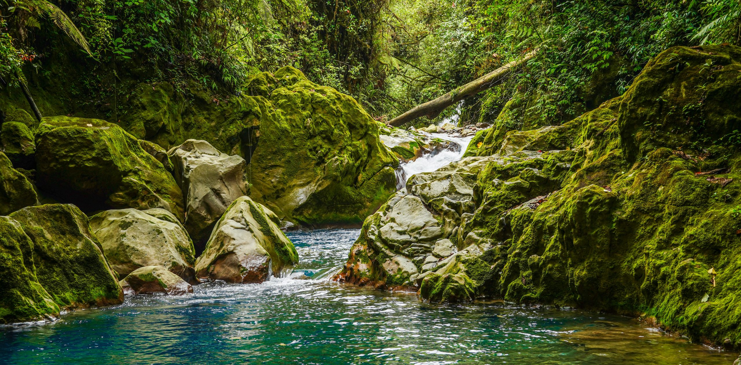 Costa Rica Eco Lodge | Creek with small waterfall in Costa Rica | Evolve Tours