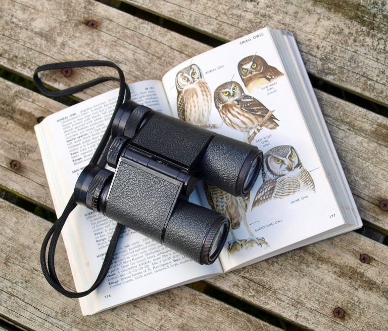 Belize Birdwatching | Binoculars on bird book | Evolve Tours