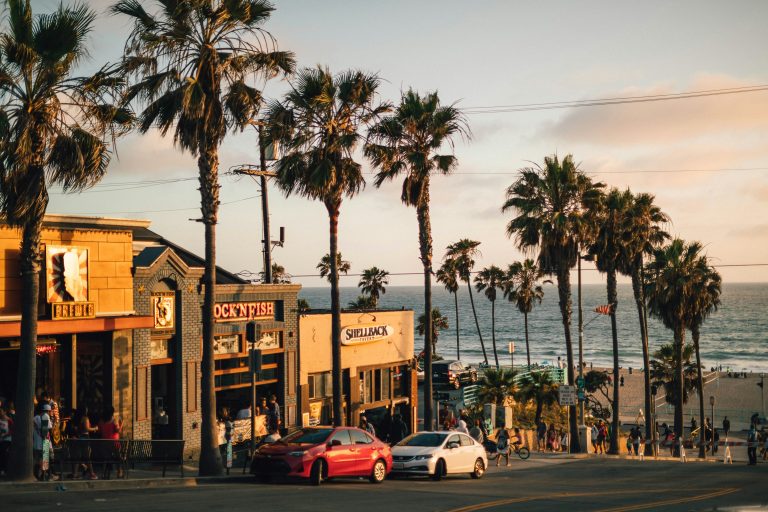 Los Angeles School Trip | Palm tree-lined street | Evolve Tours