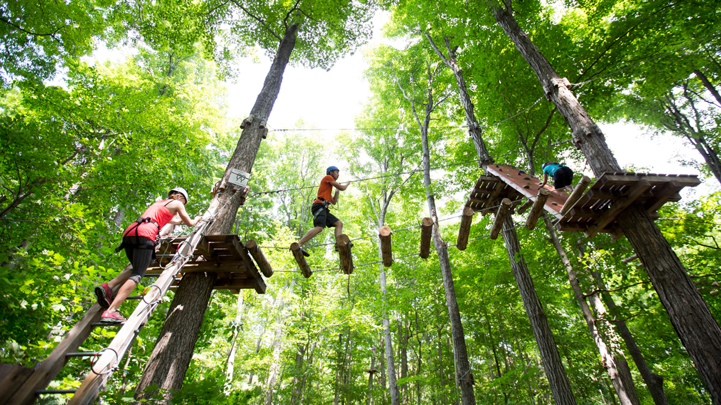 Ottawa Tree Top Trekking | People tree top trekking | Evolve Tours