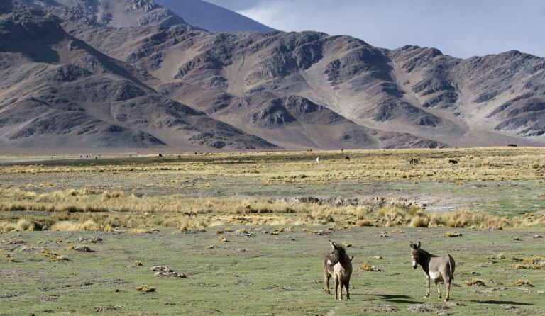 Argentina Student Travel | Evolve Tours