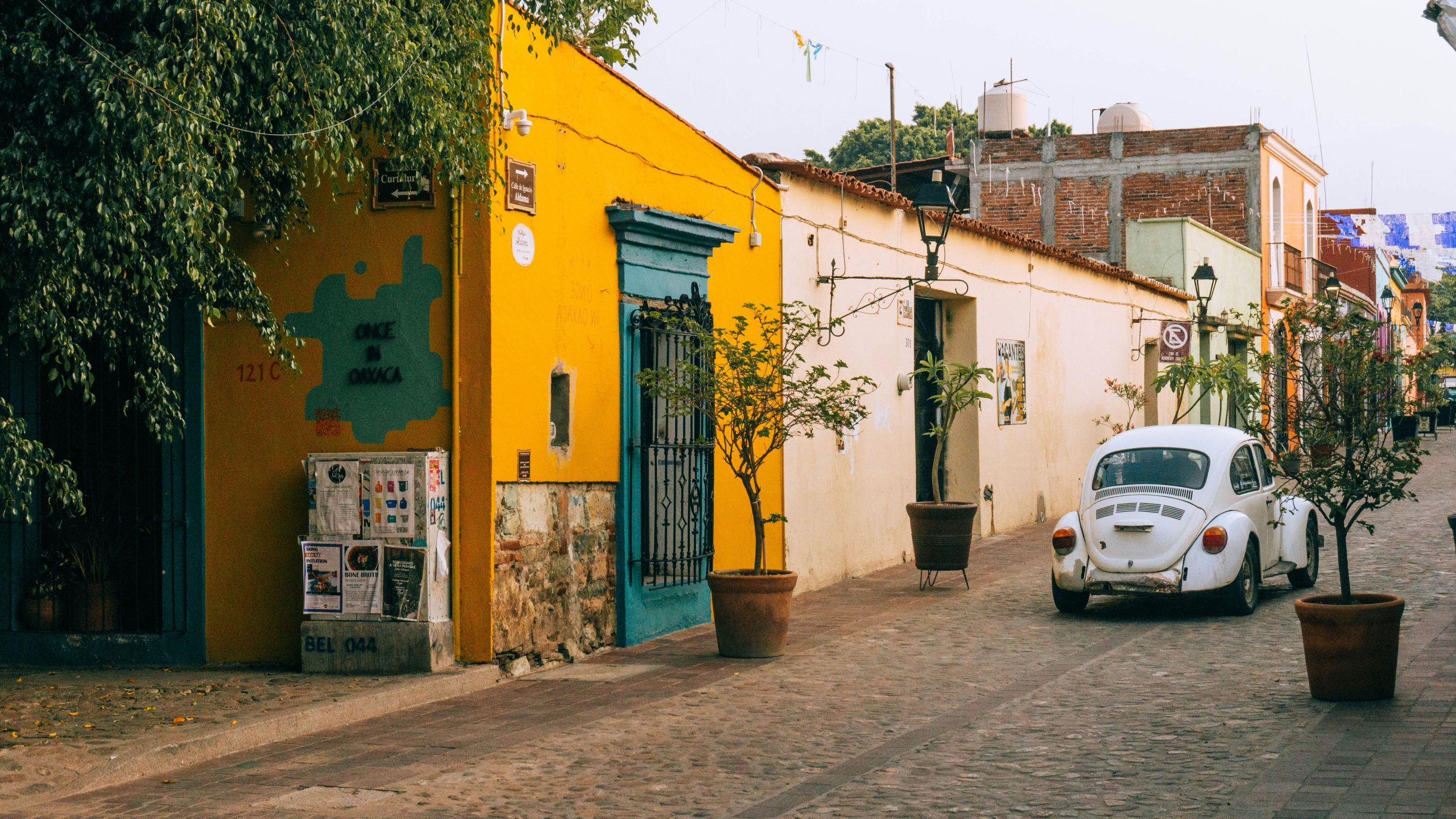 Mexico Evolve Tours