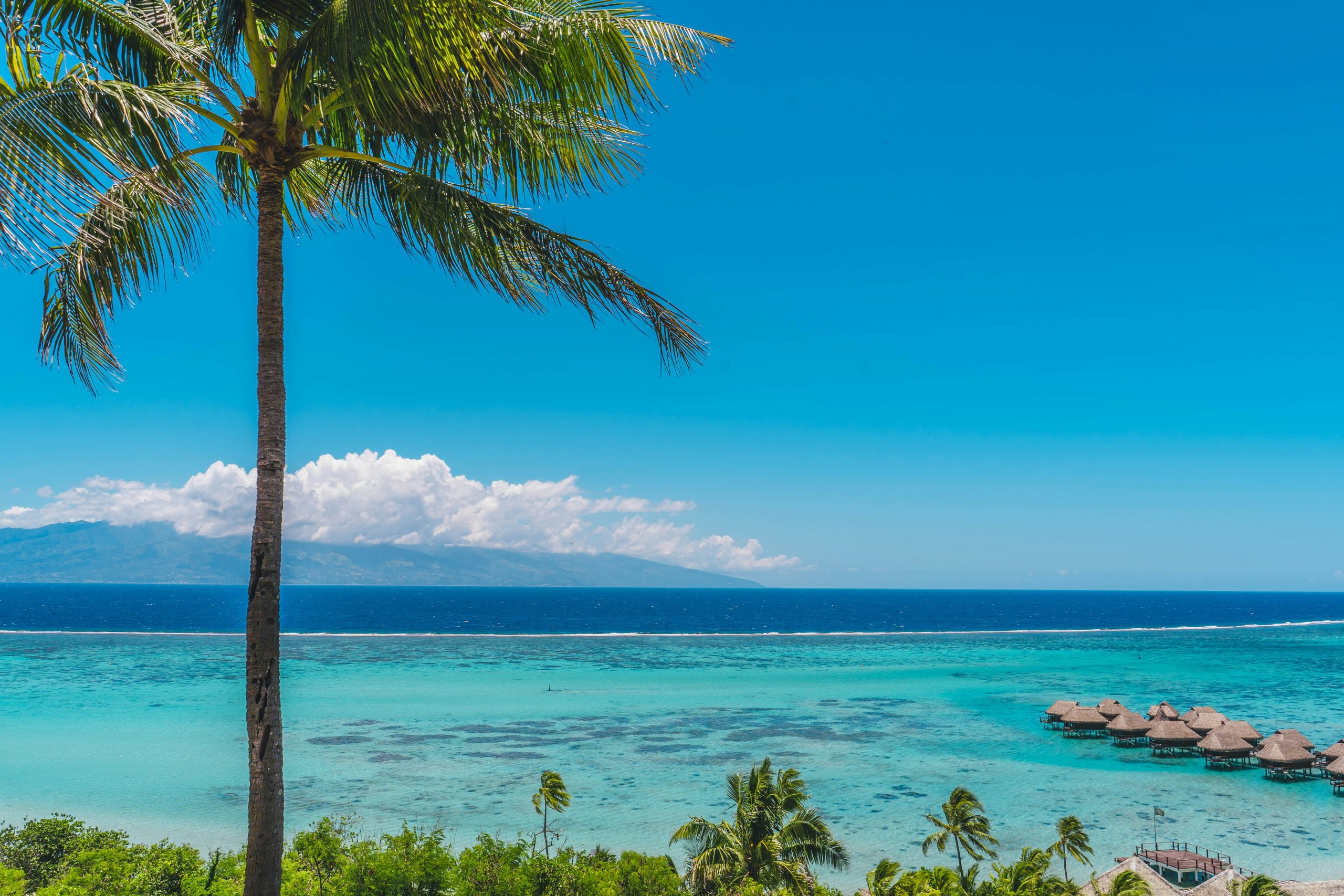 Student Travel Tahiti | Student Travel To the Tahiti, beach view | Evolve Tours