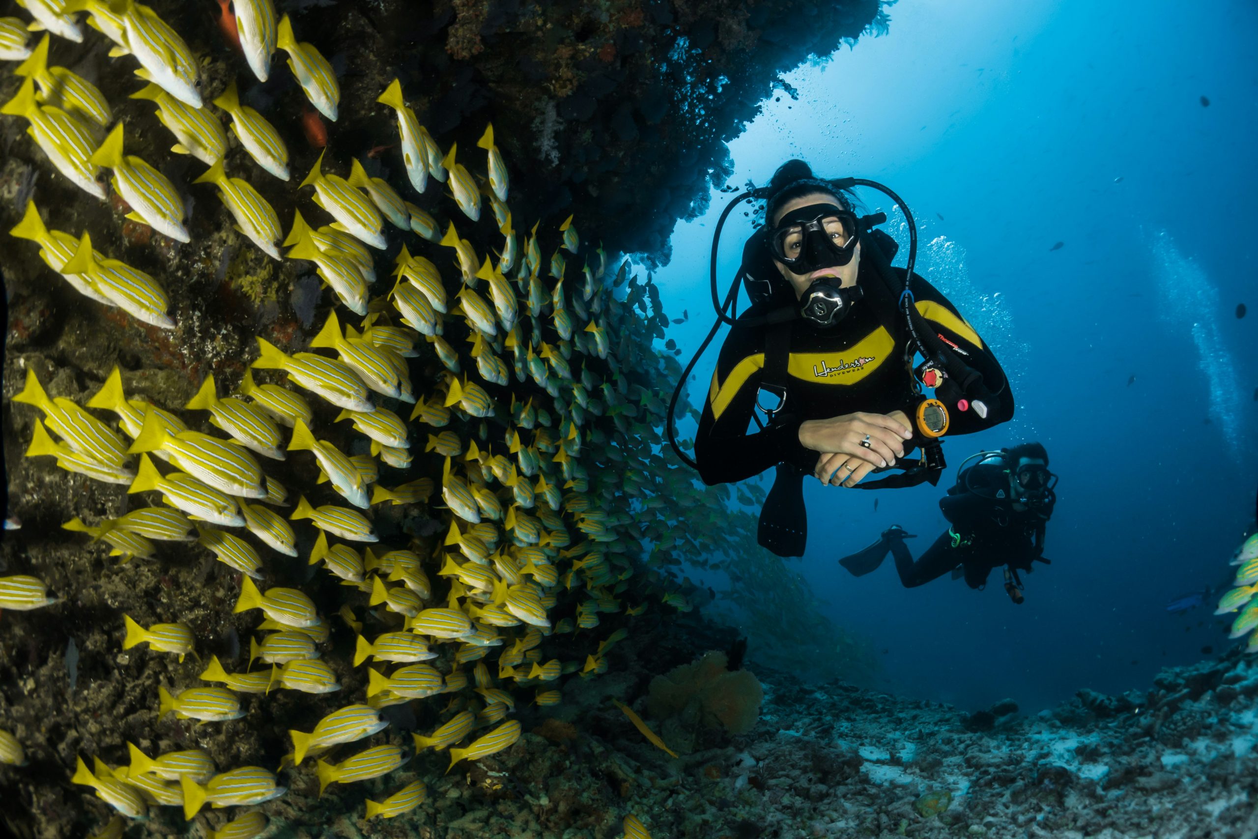 Scuba Diving Spots | Evolve Tours