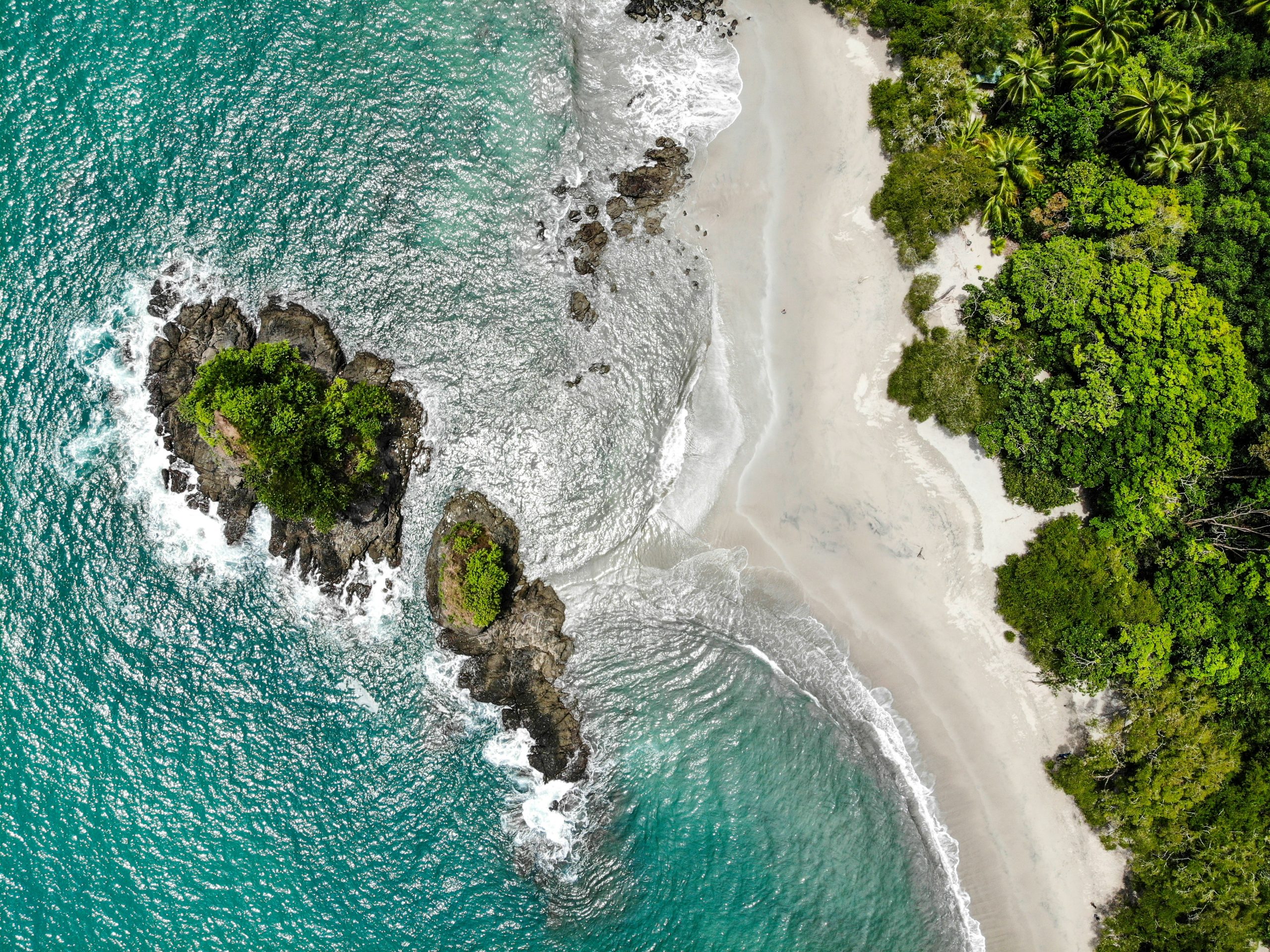 Exploring Manuel Antonio National Park with Evolve Tours School Trips