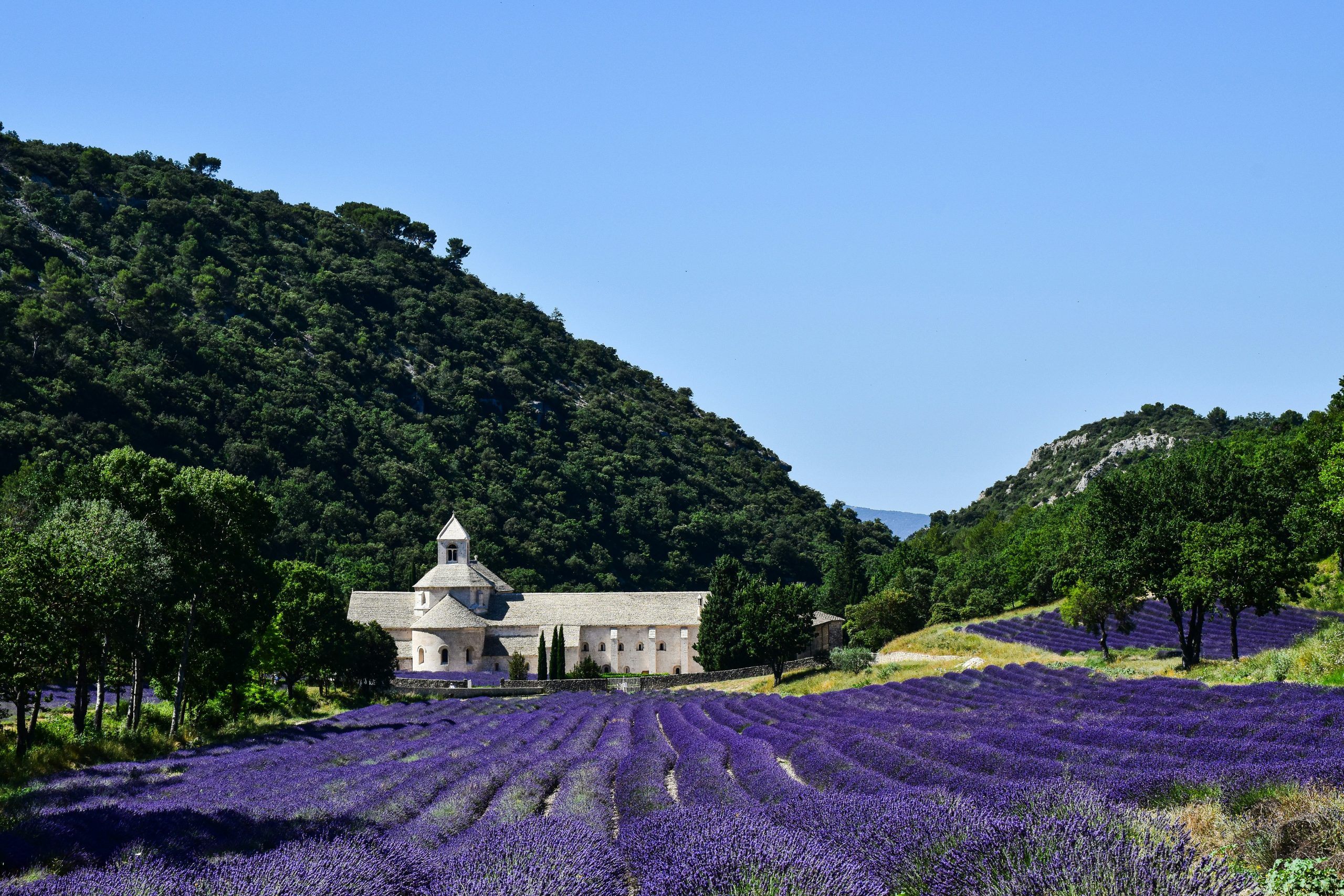 Evolve Tours France School Trips