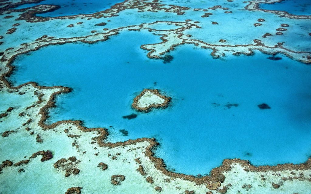 Australia Student Trip | Aerial view of Great Barrier waters | Evolve Tours