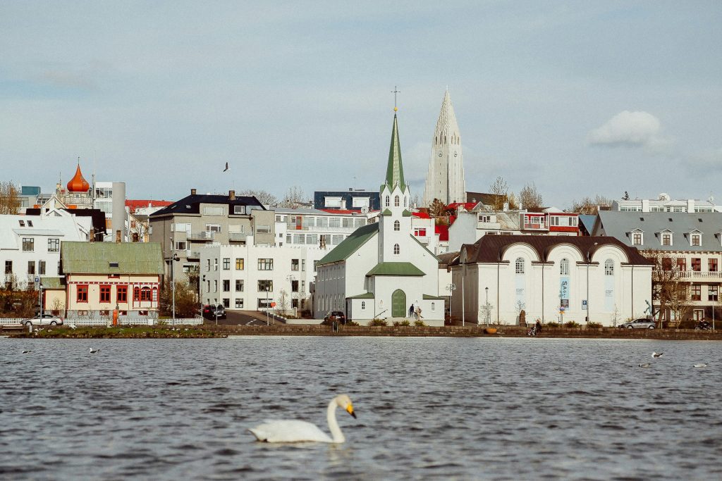 Iceland Student Trip | Buildings on the water with swans | Evolve Tours
