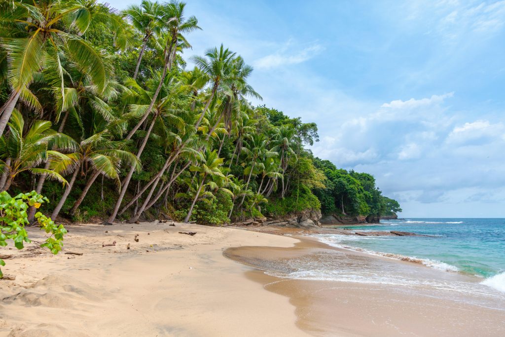 Panama Student Trip | Palm tree beach | Evolve Tours