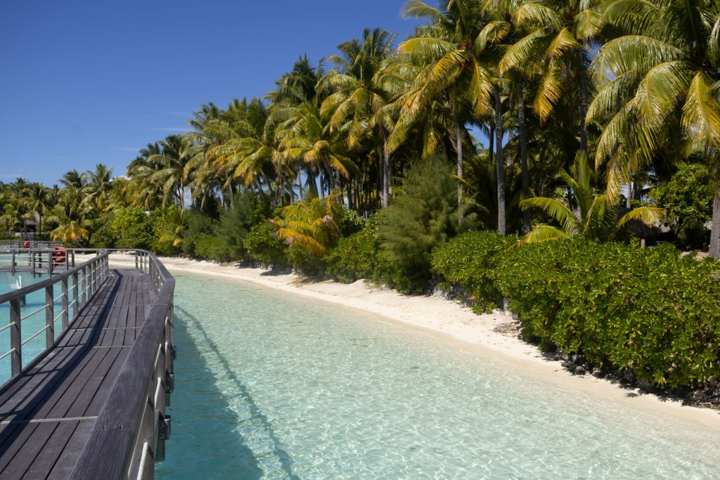 Tahiti Student Trip | Boardwalk over water | Evolve Tours