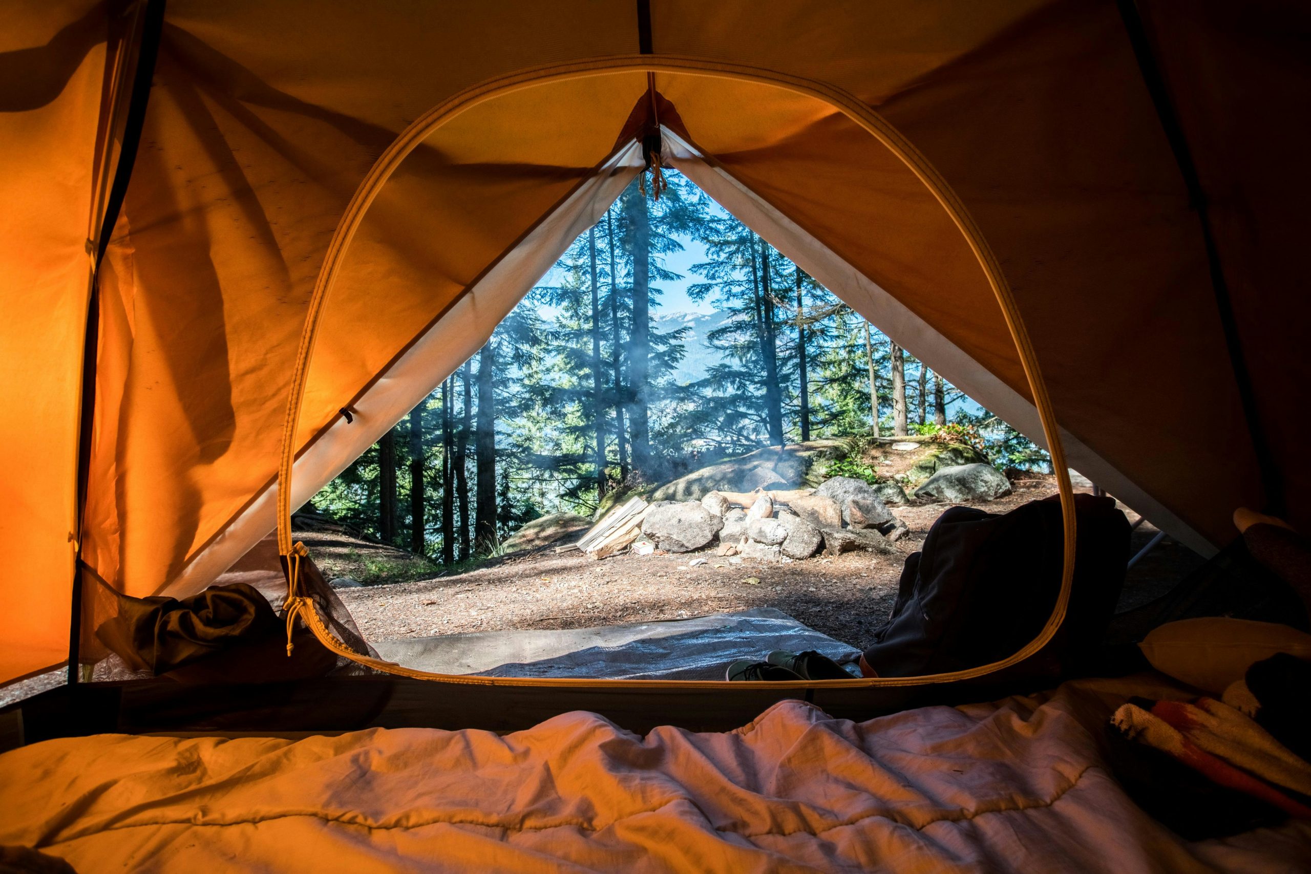 Campsites in Canada | Forest view from inside tent | Evolve Tours