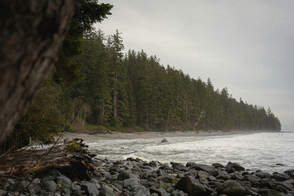 RV Parks in Western Canada | Rocky beach near pine trees | Evolve Tours