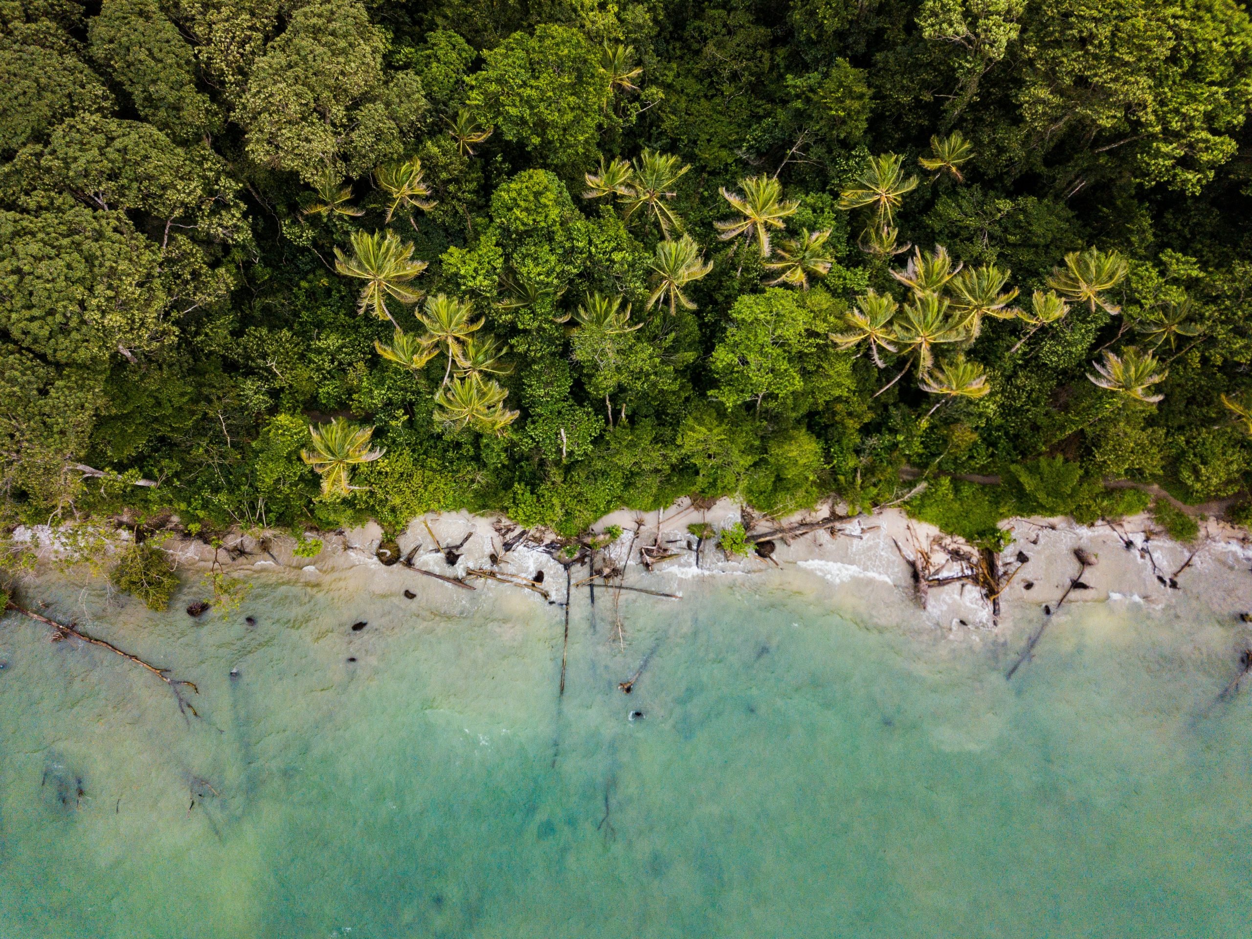 Costa Rica School Trip | Bird’s-eye view of beach in Costa Rica | Evolve Tours