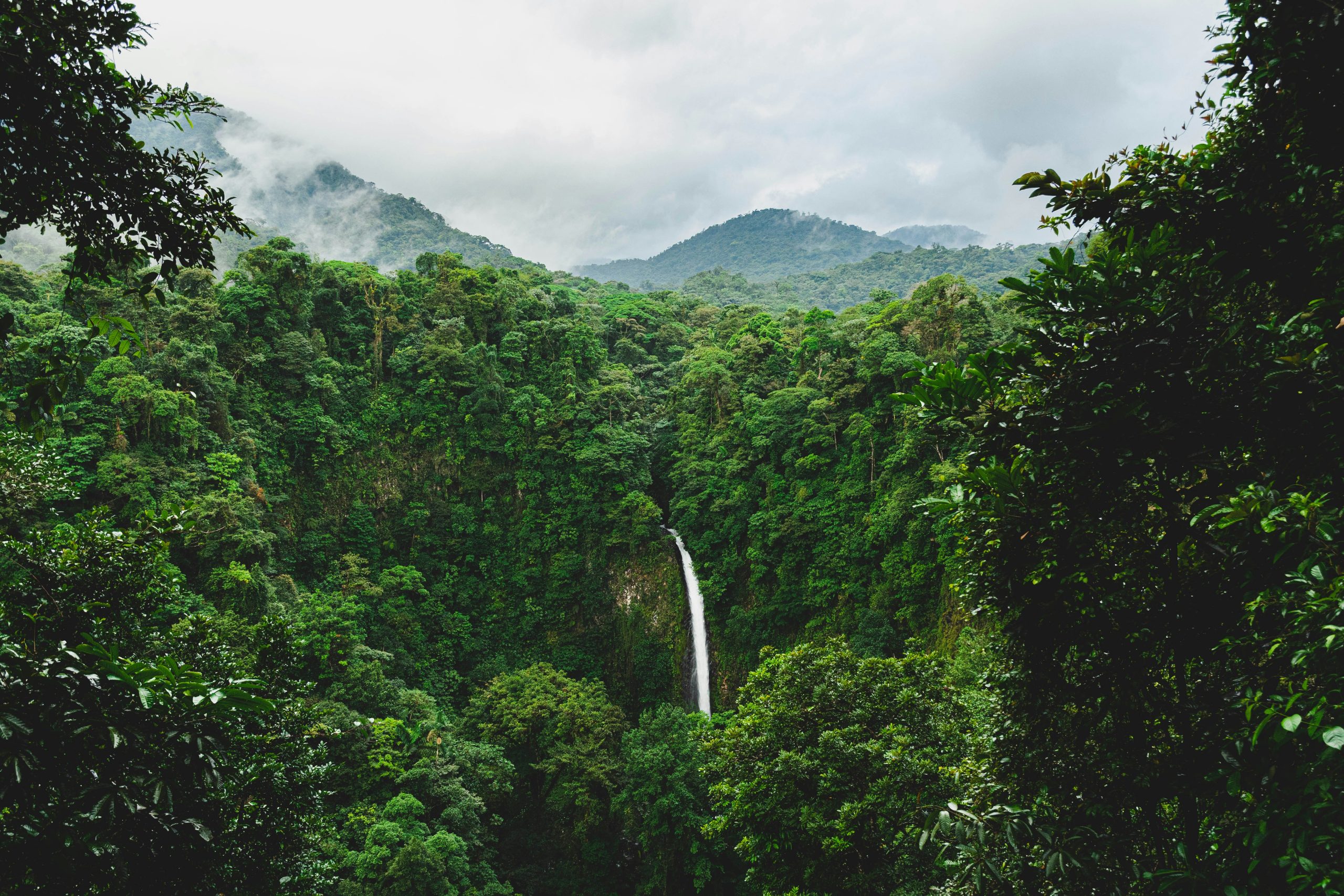 Costa Rica National Parks | Rainforest waterfall | Evolve Tours