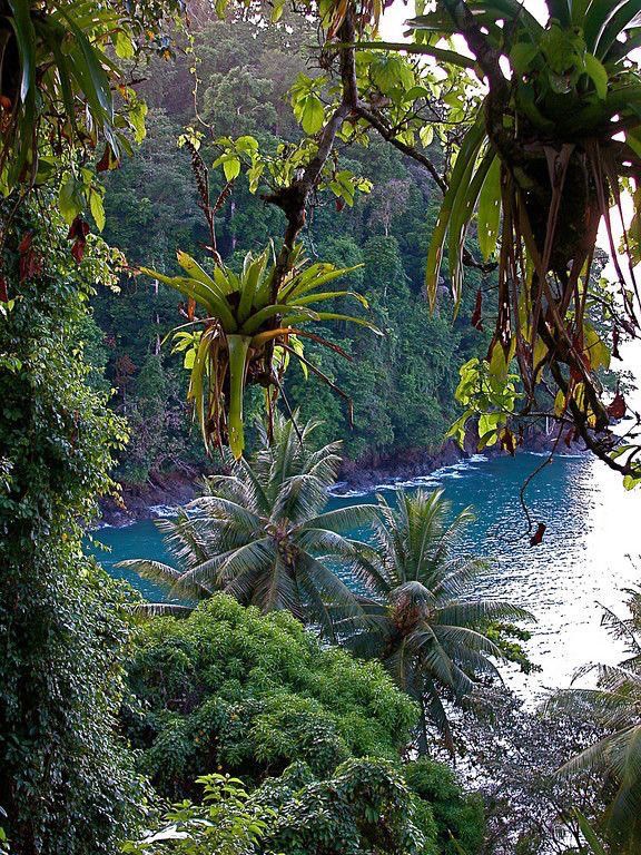 Osa Peninsula | Scenic coastal view | Evolve Tours