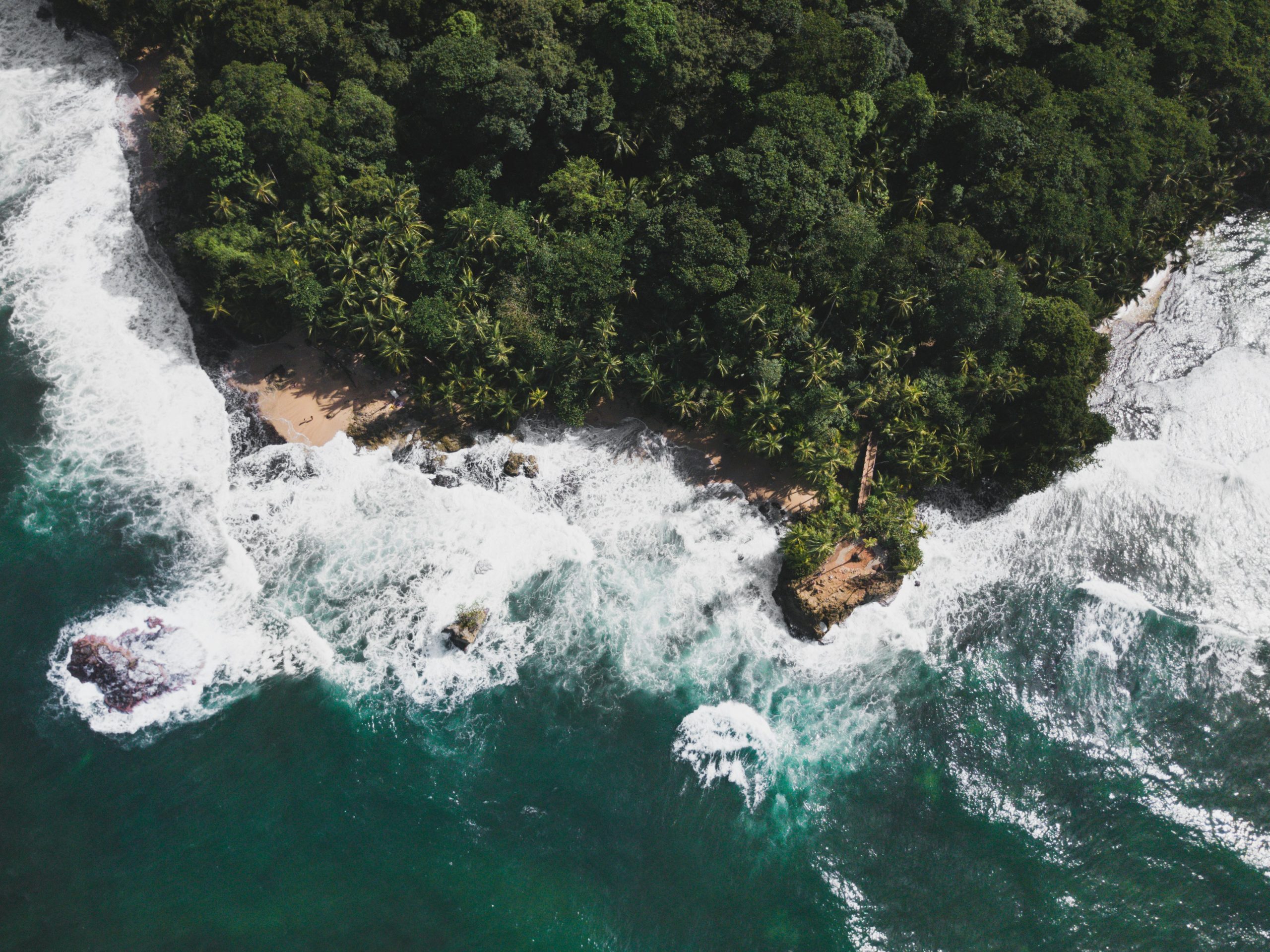 Costa Rica School Trip | Overhead view of rainforest and ocean | Evolve Tours
