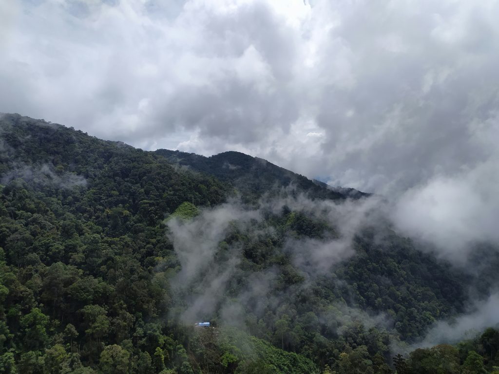Costa Rica Eco-Education | Aerial view of Monteverde Cloud Forest | Evolve Tours