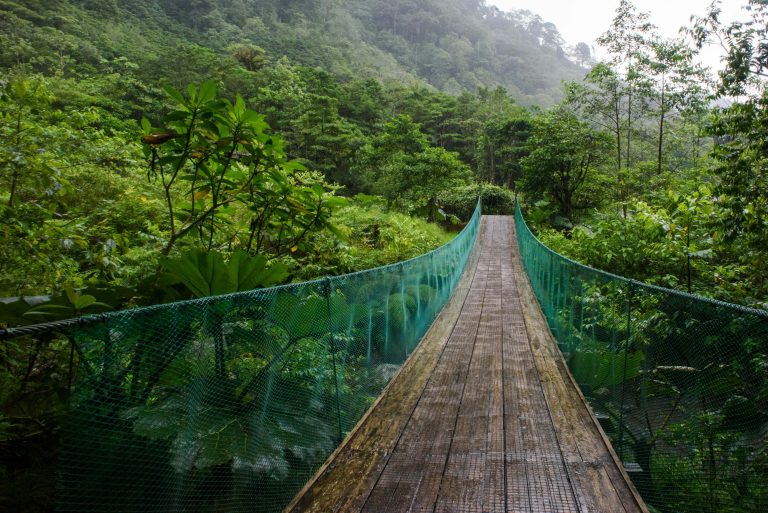 Costa Rica Eco-Education | Suspension bridge in rainforest | Evolve Tours
