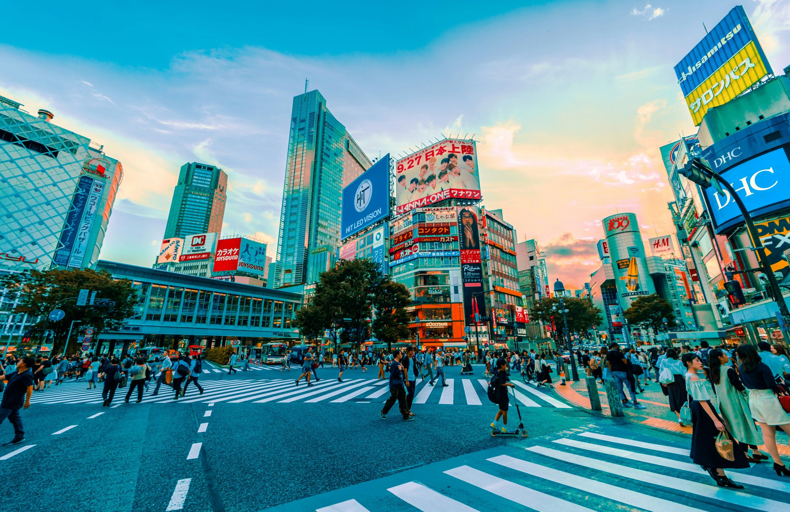 Japan School Trip | Busy streets of Shibuya | Evolve Tours