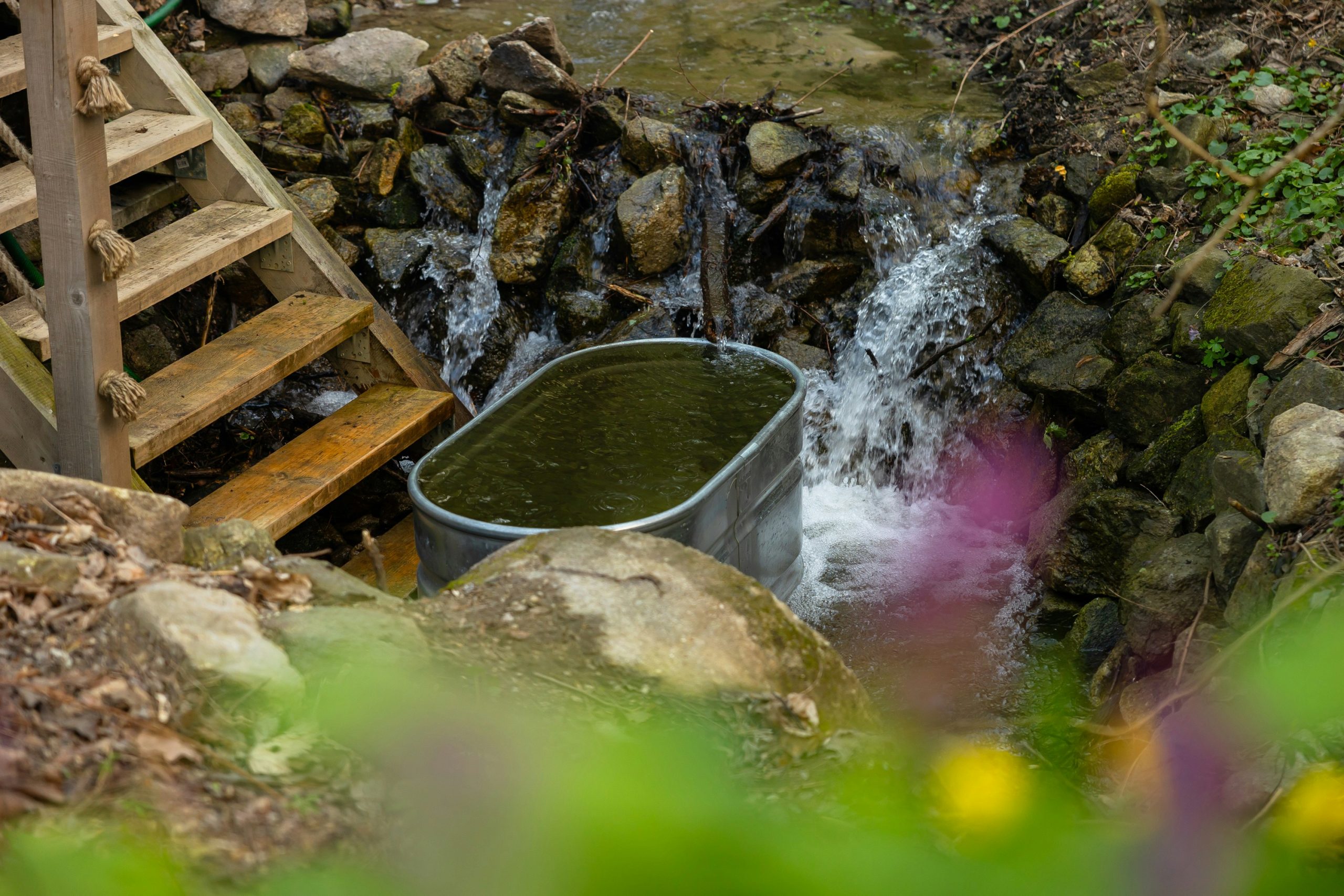 Cold Plunge | Teachers tips to reset | Evolve Tours