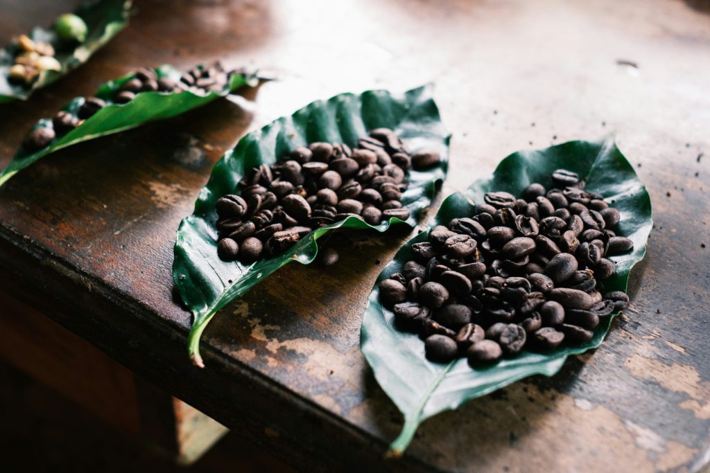 Costa Rica Coffee | Coffee beans on a leaf | Evolve Tours