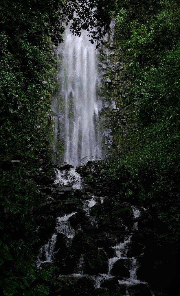 Evolve Tours Trips | La Fortuna waterfall | Evolve Tours